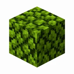 Pixel art illustration of a mangrove leaves block with dense dark green foliage of small leaf clusters